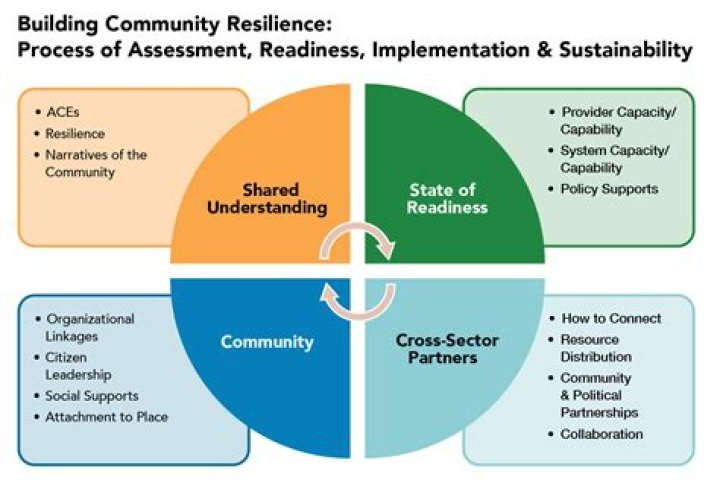 Journey Of Resilience, Advocacy, And Impact